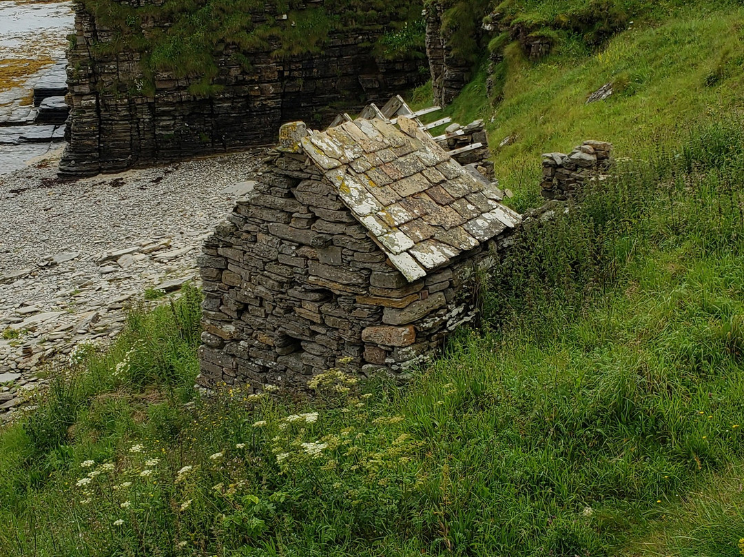 Caithness Broch Centre景点图片