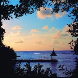 Half Moon Equestrian Center-蒙特戈贝必去景点