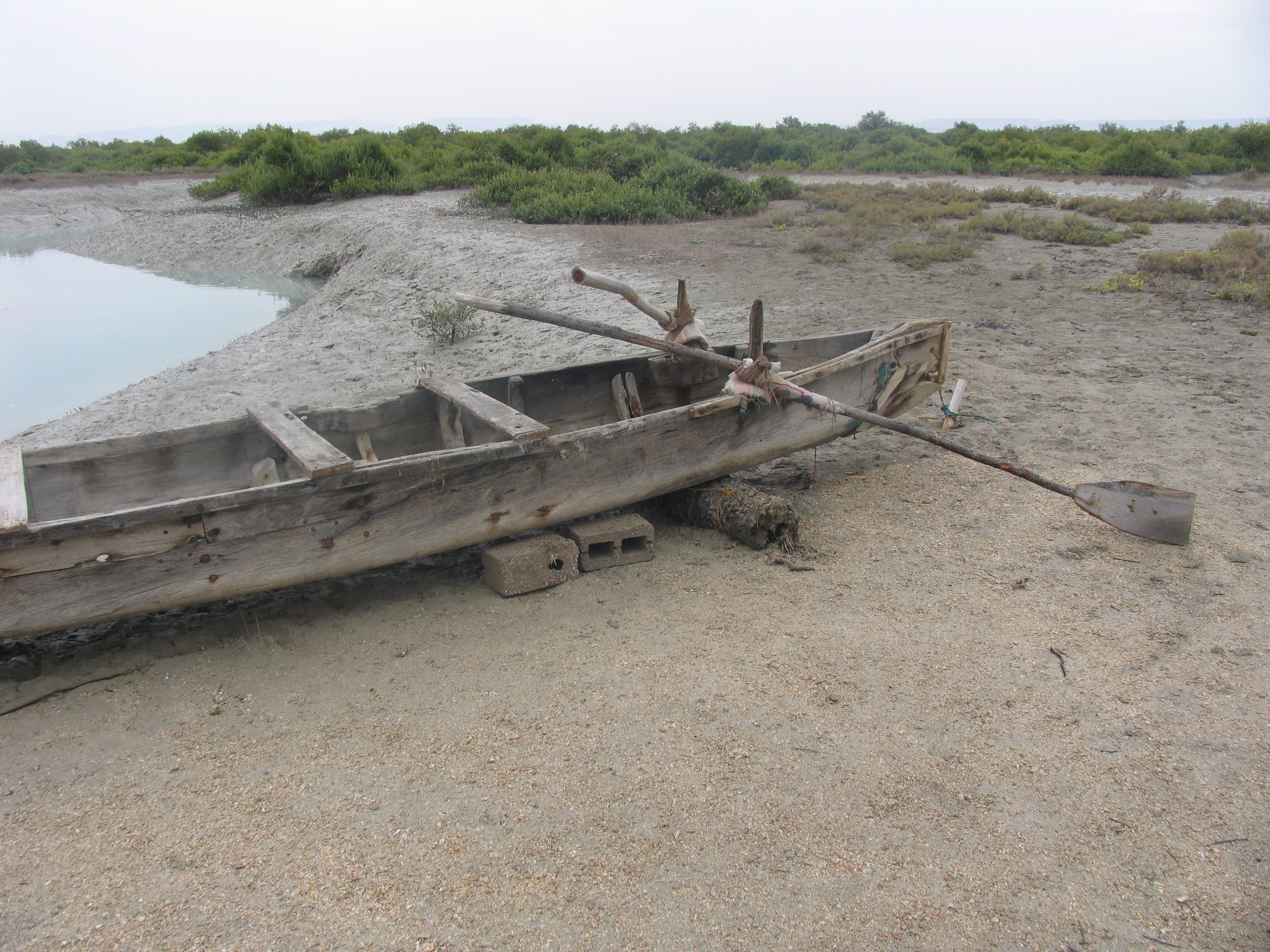 Mr Amini’s House-泳池