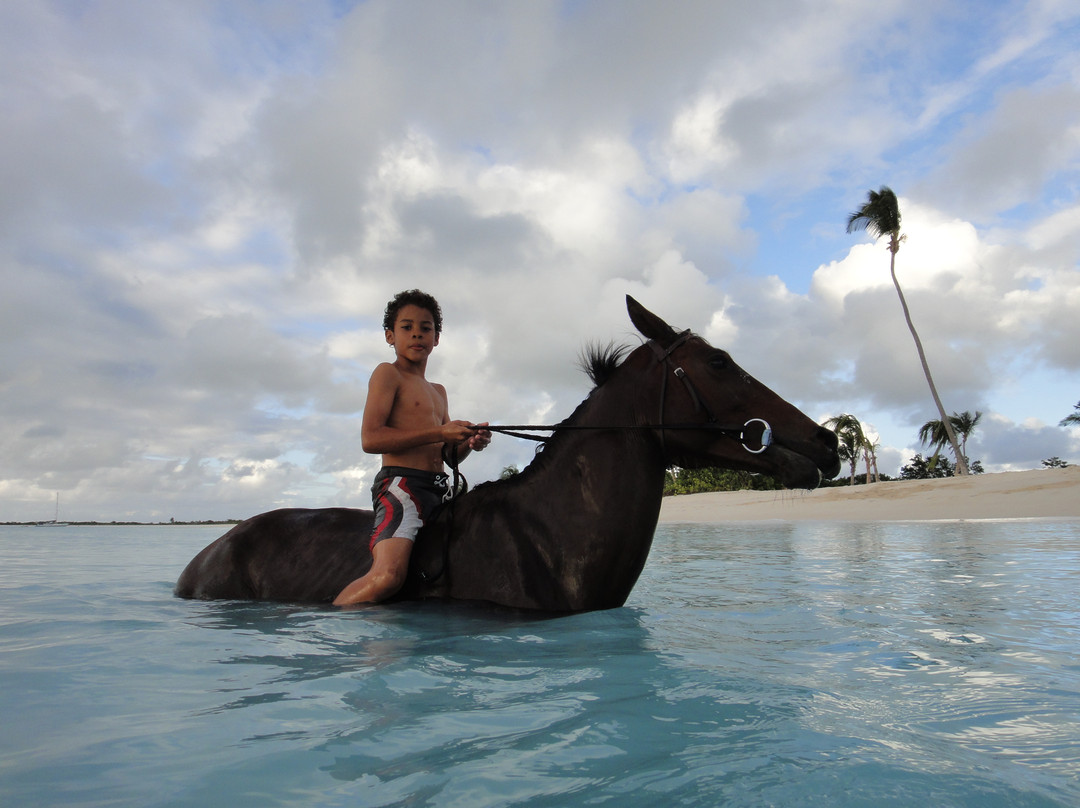 Horse Back Riding at Lighthouse Bay Resort景点图片