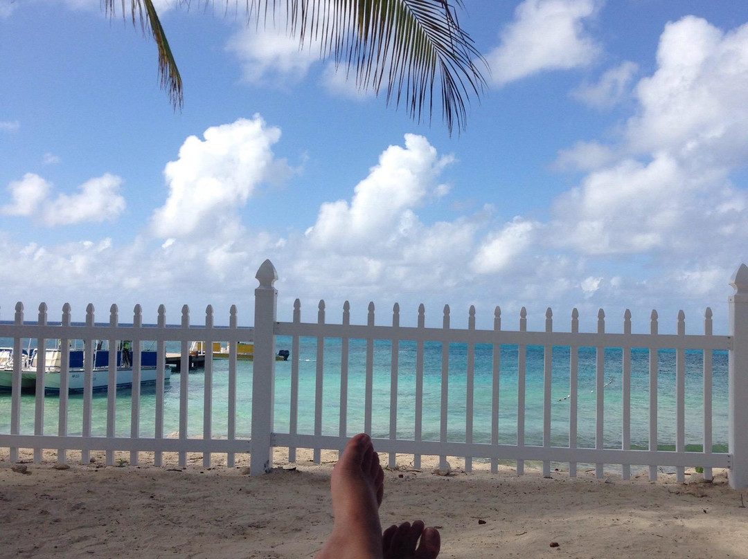 Carnival, A Taste of Grand Turk & Beach Get Away景点图片