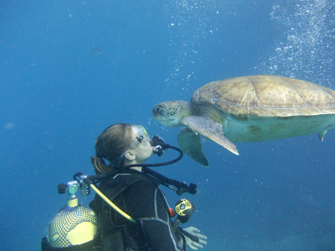 Tenerife Scuba-特纳里夫必去景点