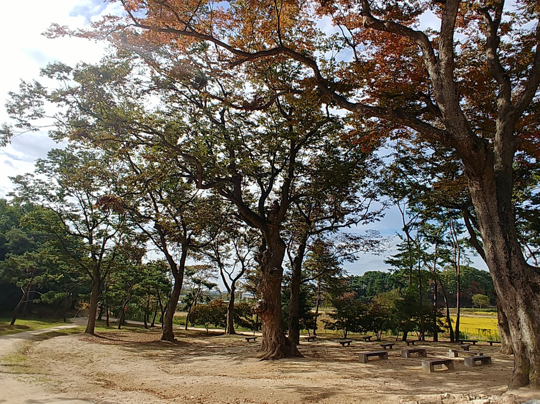 Paju Jangneung-坡州市必去景点