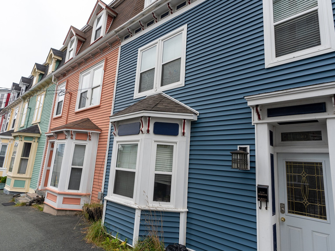 Jellybean Row Houses景点图片