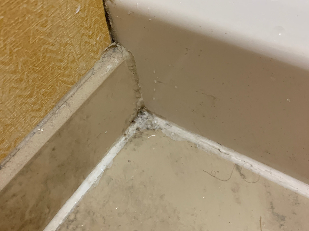 Homewood Suites by Hilton Tulsa-South主图