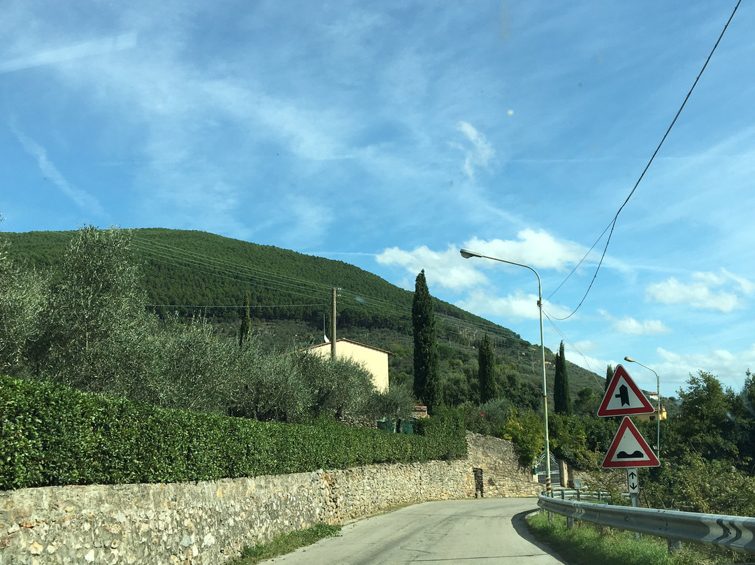 Monte Serra景点图片