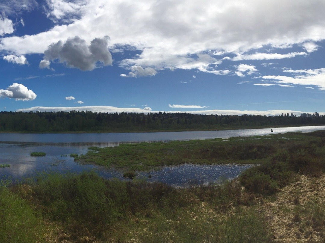 Burnaby Lake景点图片