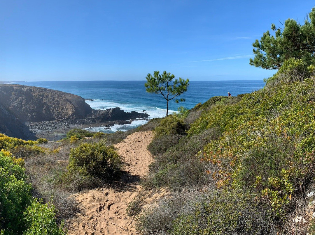 Casa Vicentina主图