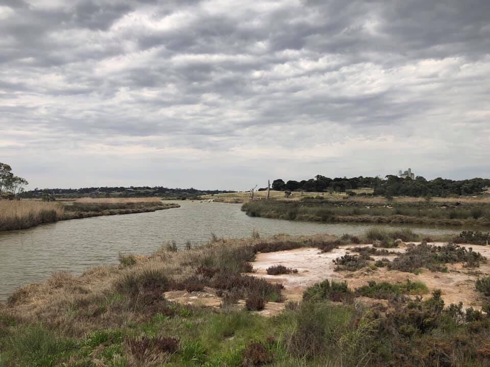Rocky Gully Wetlands-Murray Bridge必去景点
