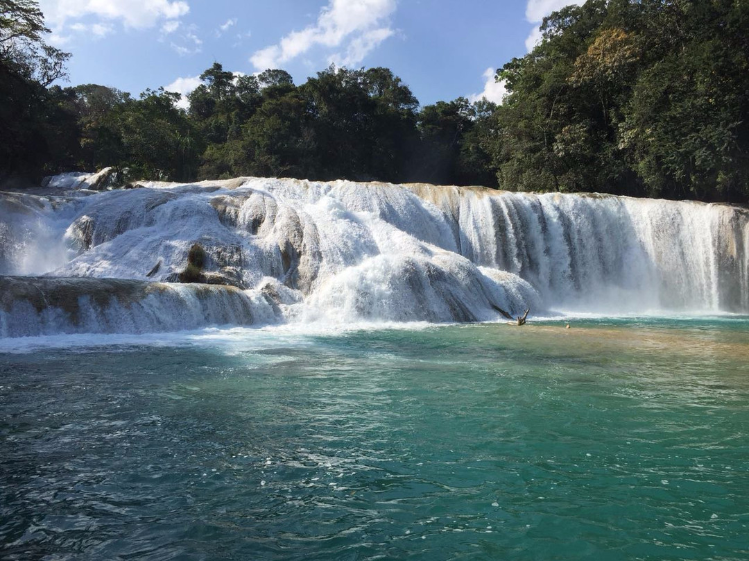 Chiapas Tu Aventura Maya景点图片