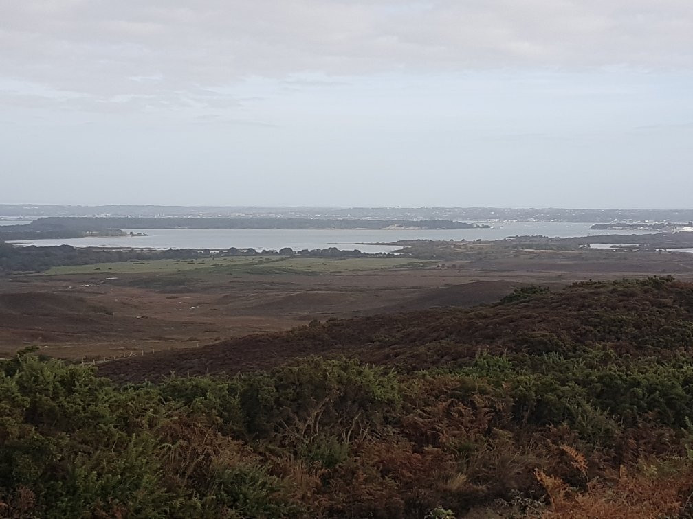 Isle of Purbeck Golf Club景点图片