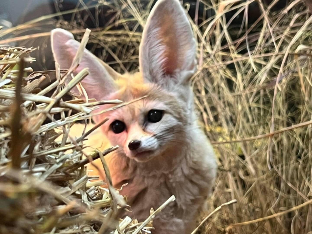 Little Ray's Nature Center