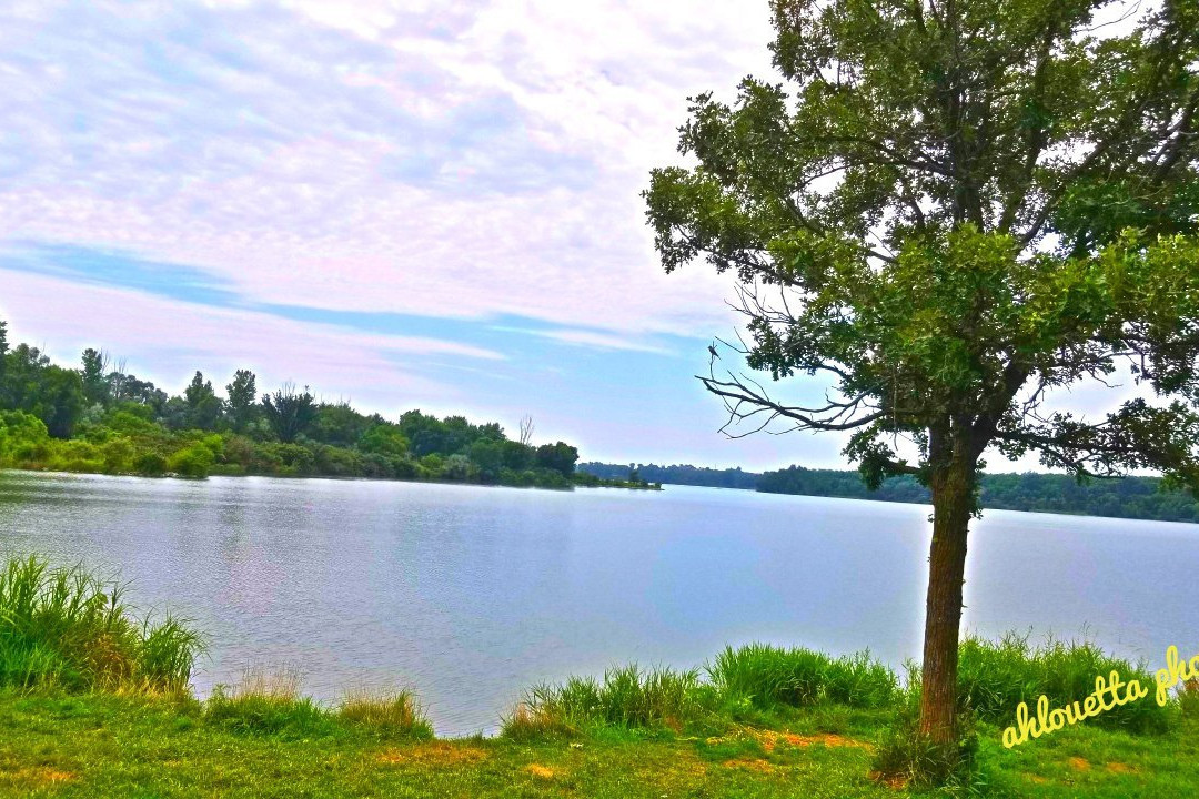 Cunningham Lake景点图片