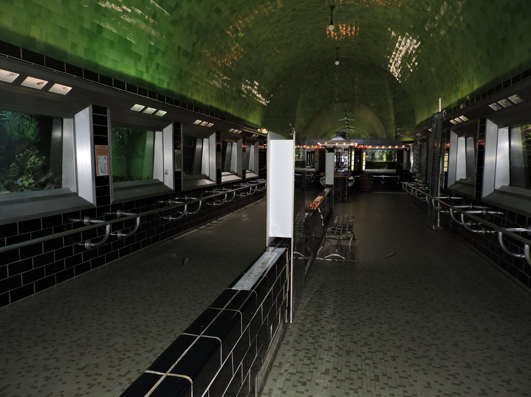 Belle Isle Aquarium-底特律必去景点