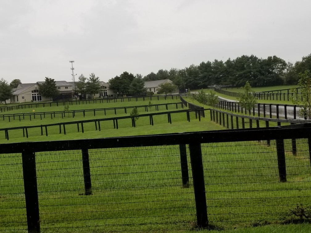Hagyard Equine Medical Institute