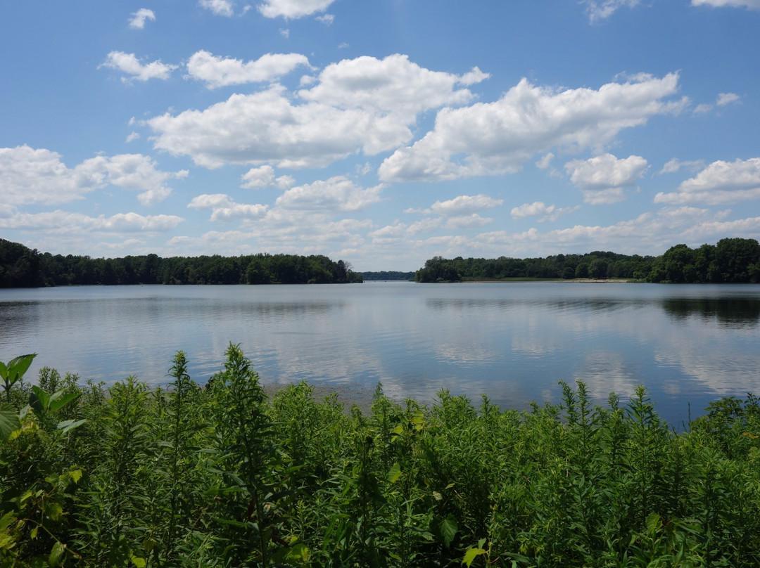 Potato Creek State Park景点图片