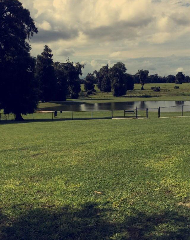 Barkley Square Dog Park