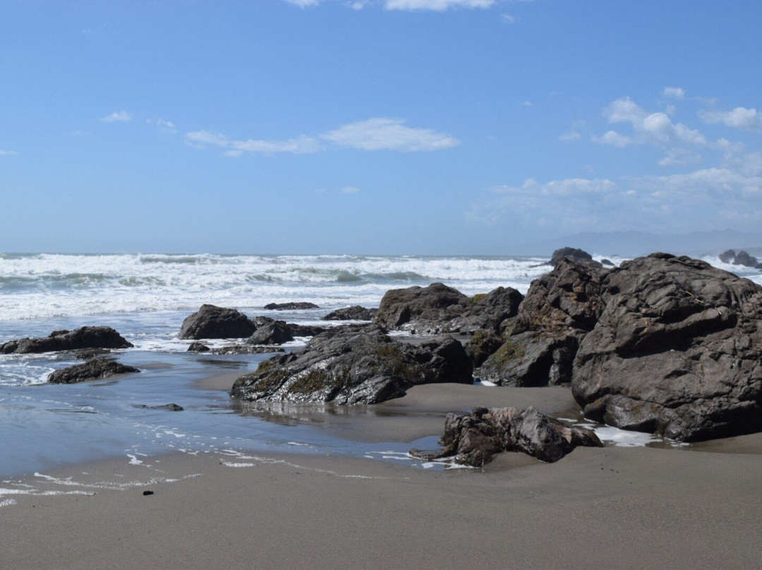 Sonoma Coast State Beach - Salmon Creek景点图片