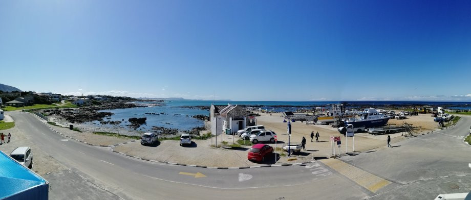 White Shark Ventures-Kleinbaai必去景点