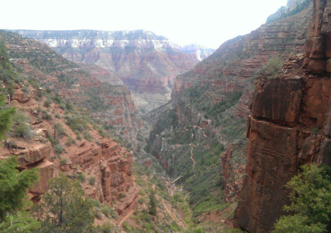 Grand Canyon North Rim Mule Rides -Tour景点图片