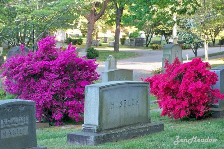 Forest Hills Cemetery-查塔努加必去景点
