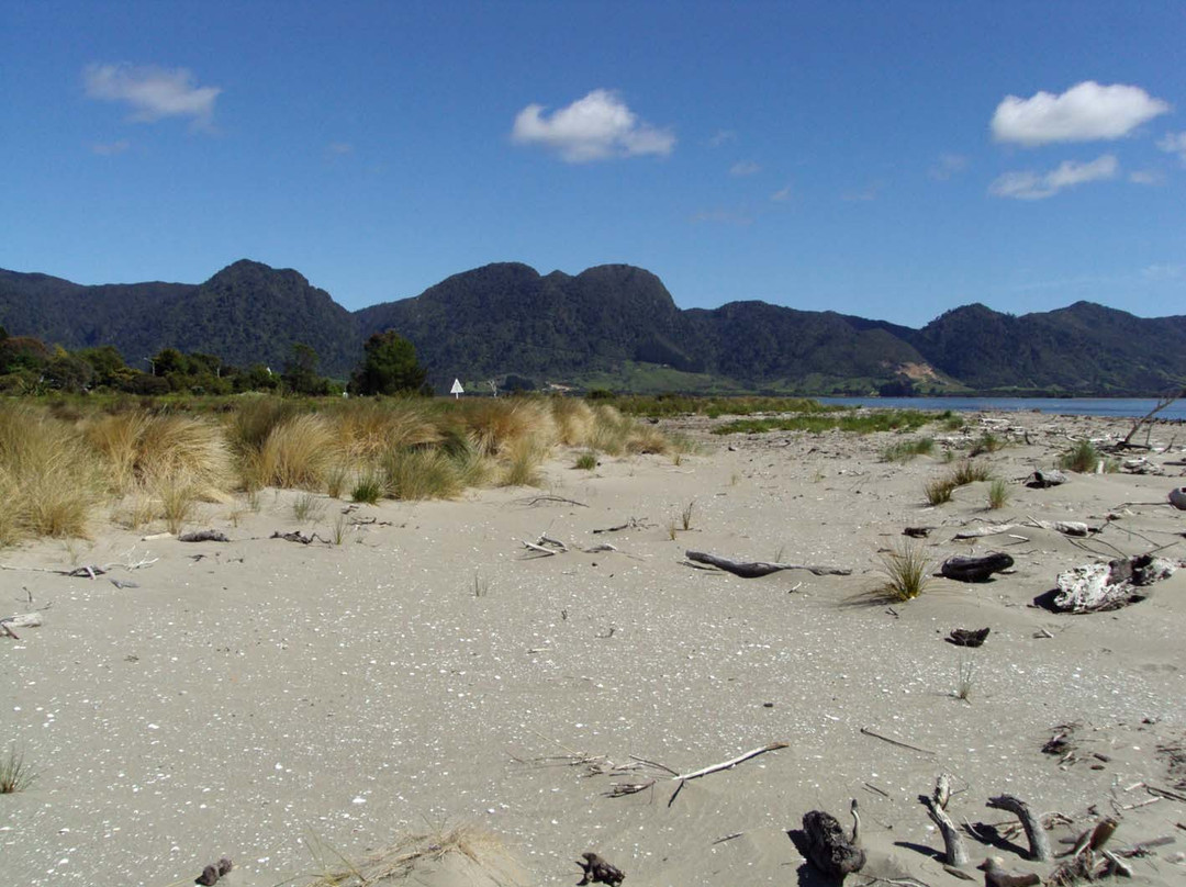 Farewell Spit and Puponga Farm Park Tracks景点图片