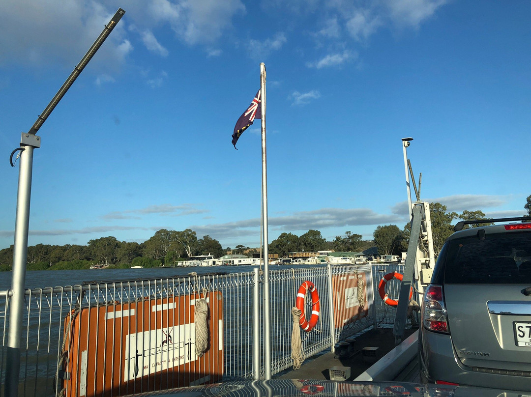 Mannum Ferry景点图片