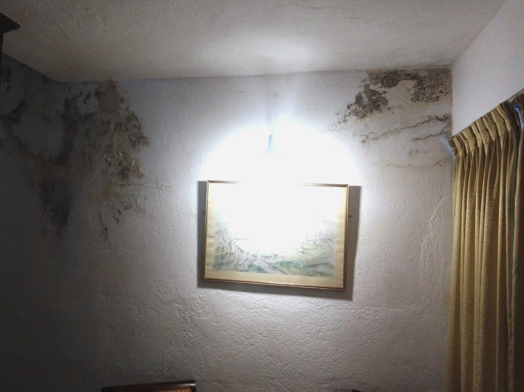 Yoho Beach De Saram Place主图