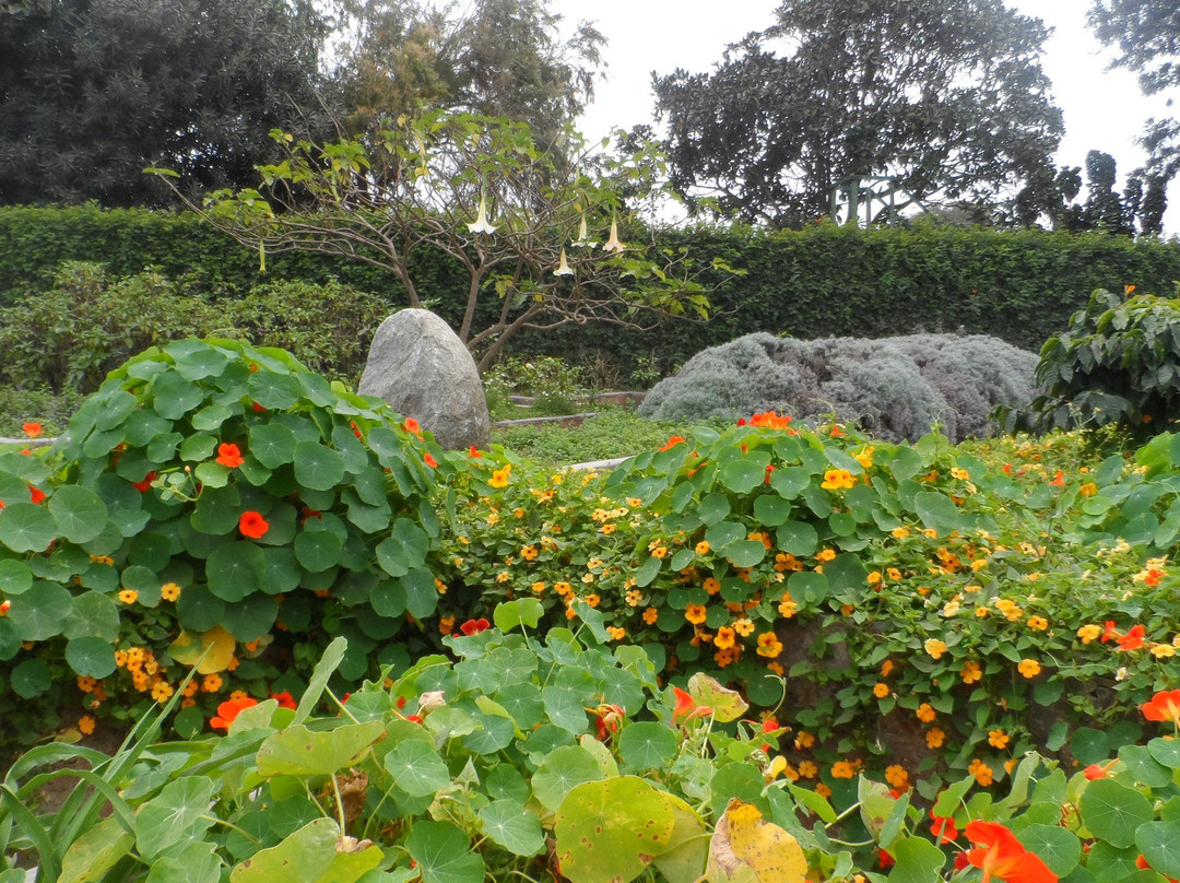 Museo Jardín De Los Sentidos