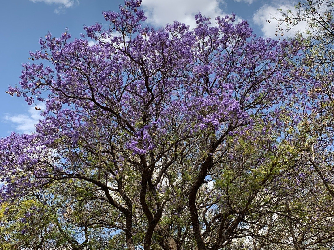 Parliament Gardens-温德和克必去景点