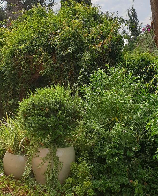 Maskit Suites & Spa主图