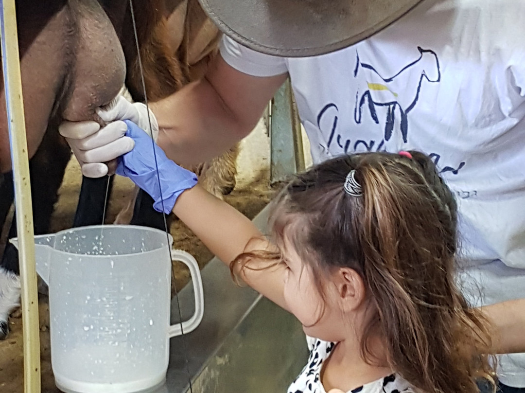 Shmueli Farm-Be'er Tuvia必去景点