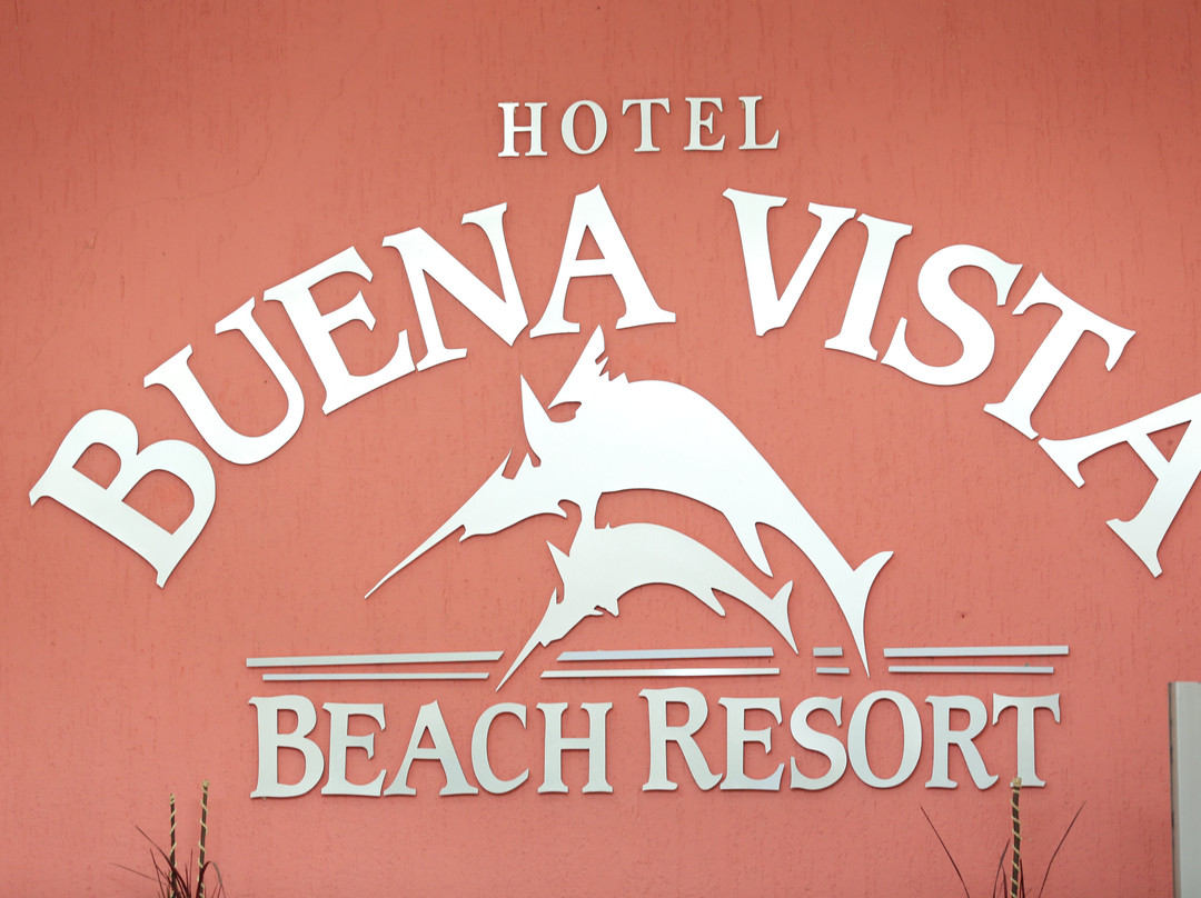 Buena Vista Oceanfront & Hot Springs Resort主图