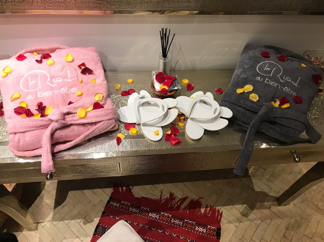 Le Riad du Bien Etre-图卢兹必去景点