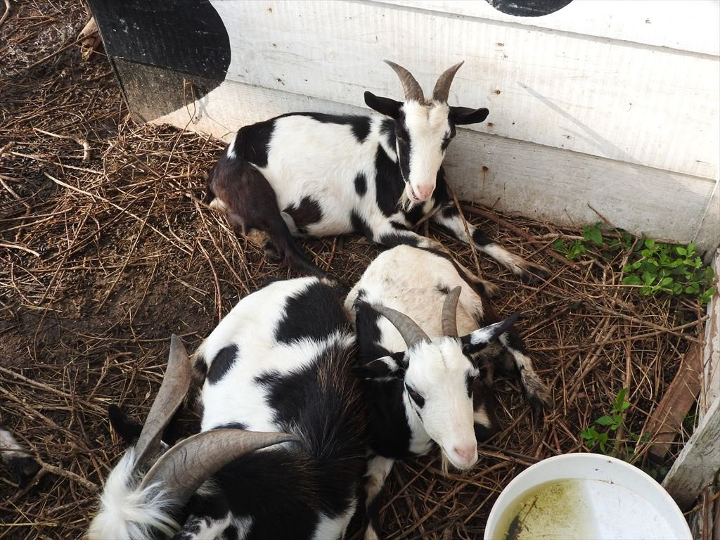 Watermark Hotel Okinawa Kume Island主图