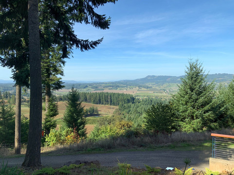 Oregon Select Wine Tours-纽伯格必去景点