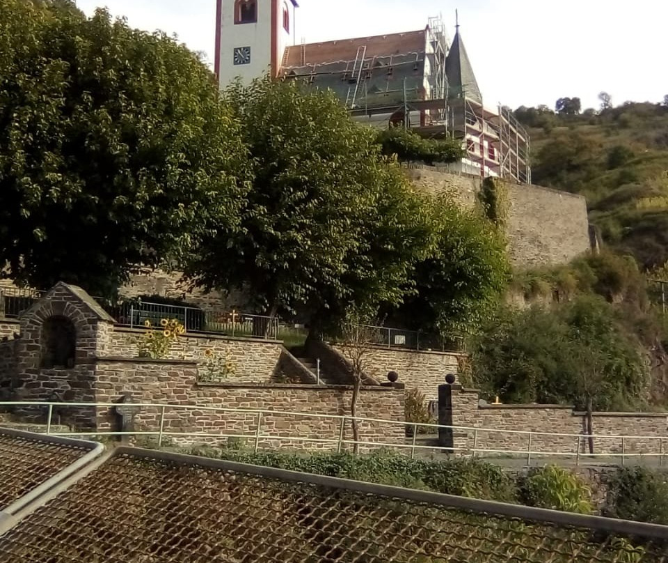Gastehaus Zur Traube主图
