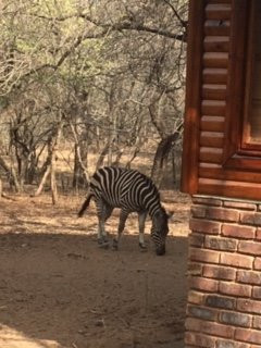 Ubuntu Bed and Breakfast主图