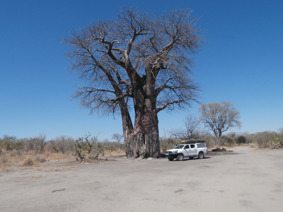 Bushtrackers-约翰内斯堡必去景点