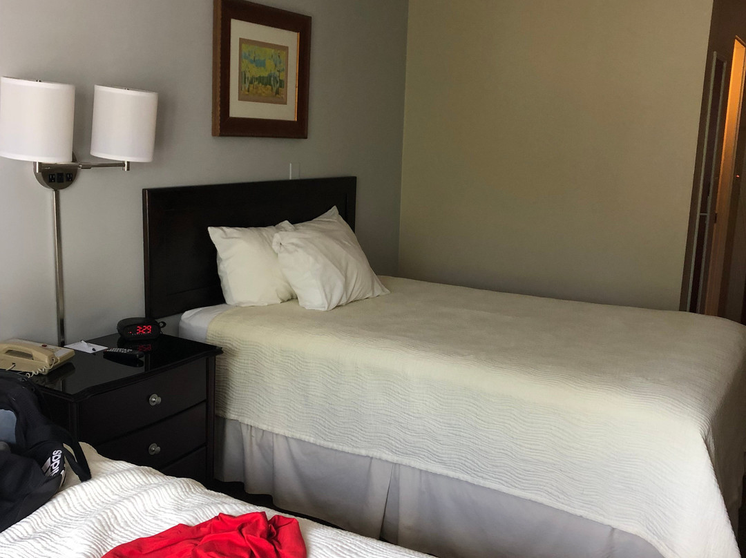 Silver Fox Inn主图