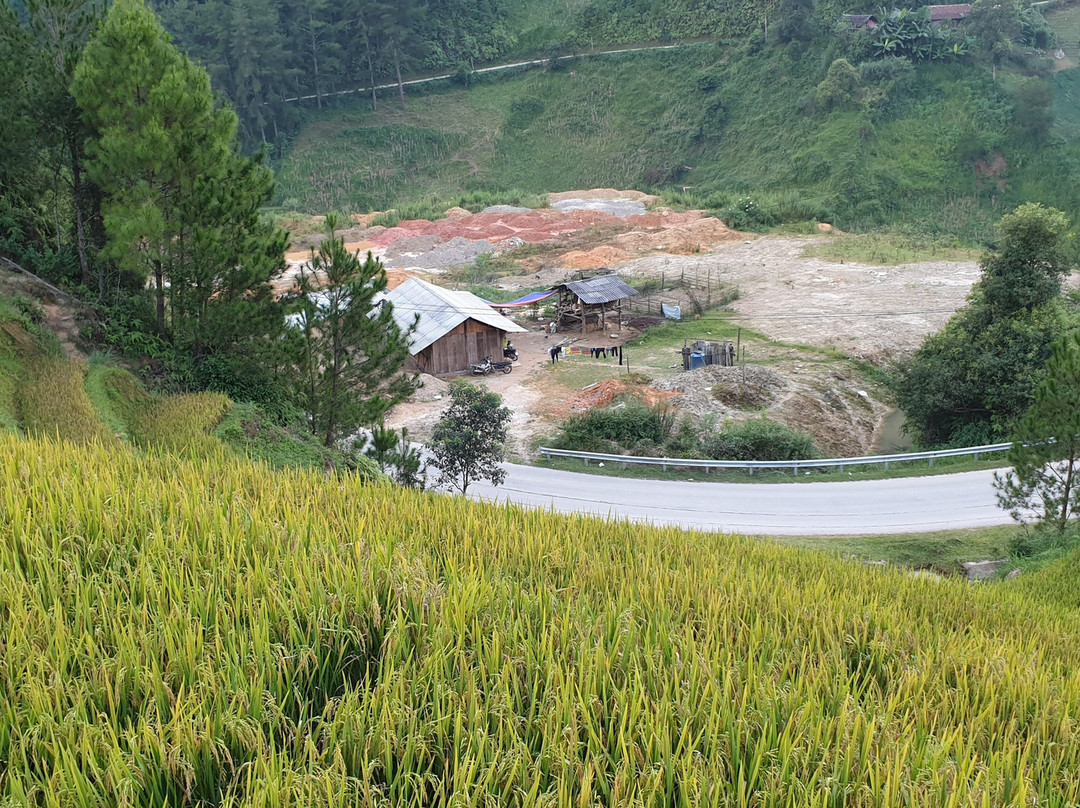 Indigenous Homestay主图