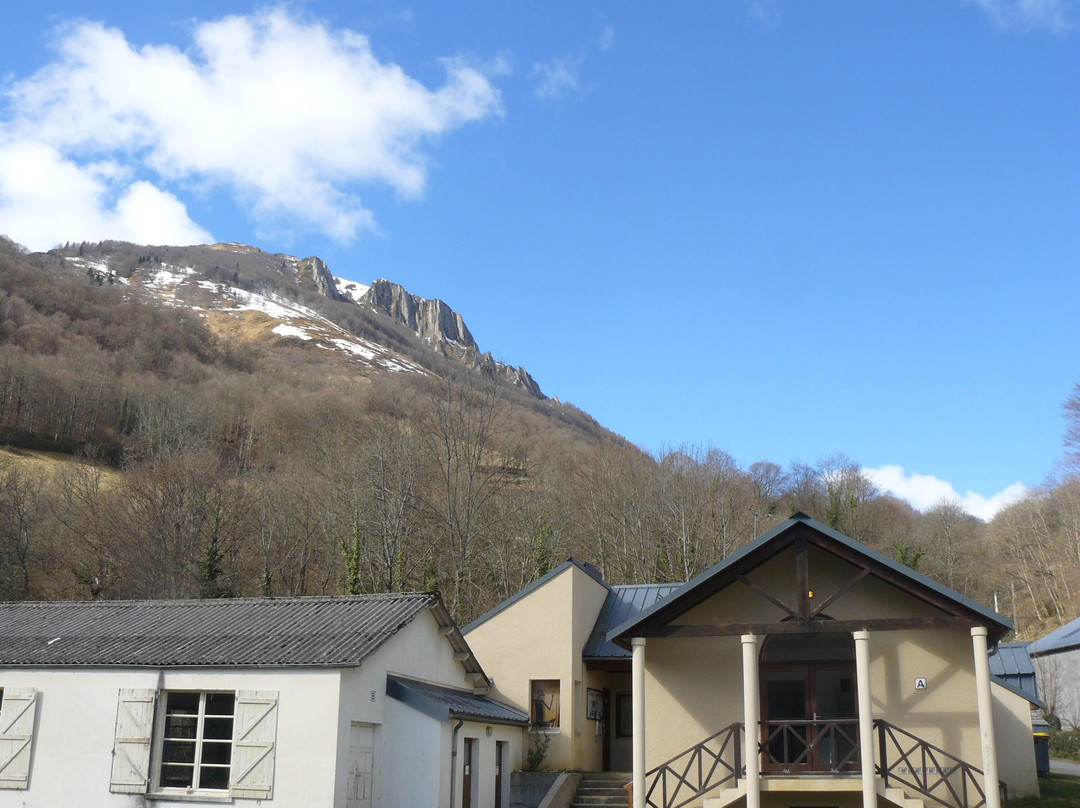 Centre De Vacances De La Salamandre