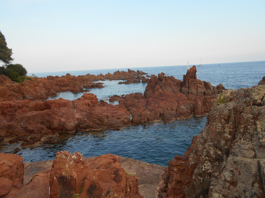 Sentier du littoral景点图片