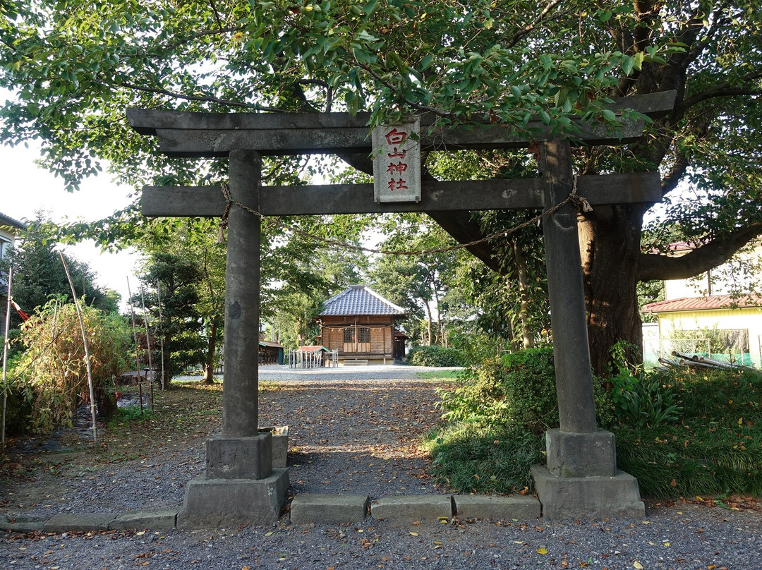 Hakusan Shrine景点图片