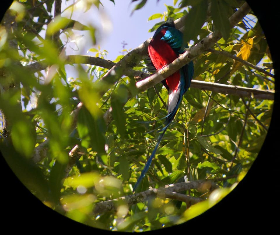 Costa Rica Itinerary景点图片