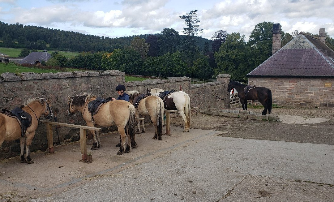 Glen Tanar National Nature Reserve-Aboyne必去景点