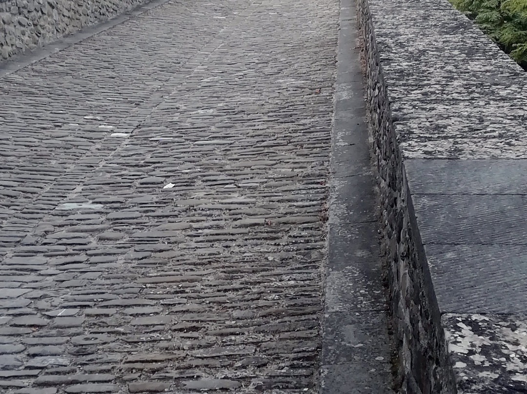 Ponte Alidosi (ponte rinascimentale a Schiena d'Asino)景点图片