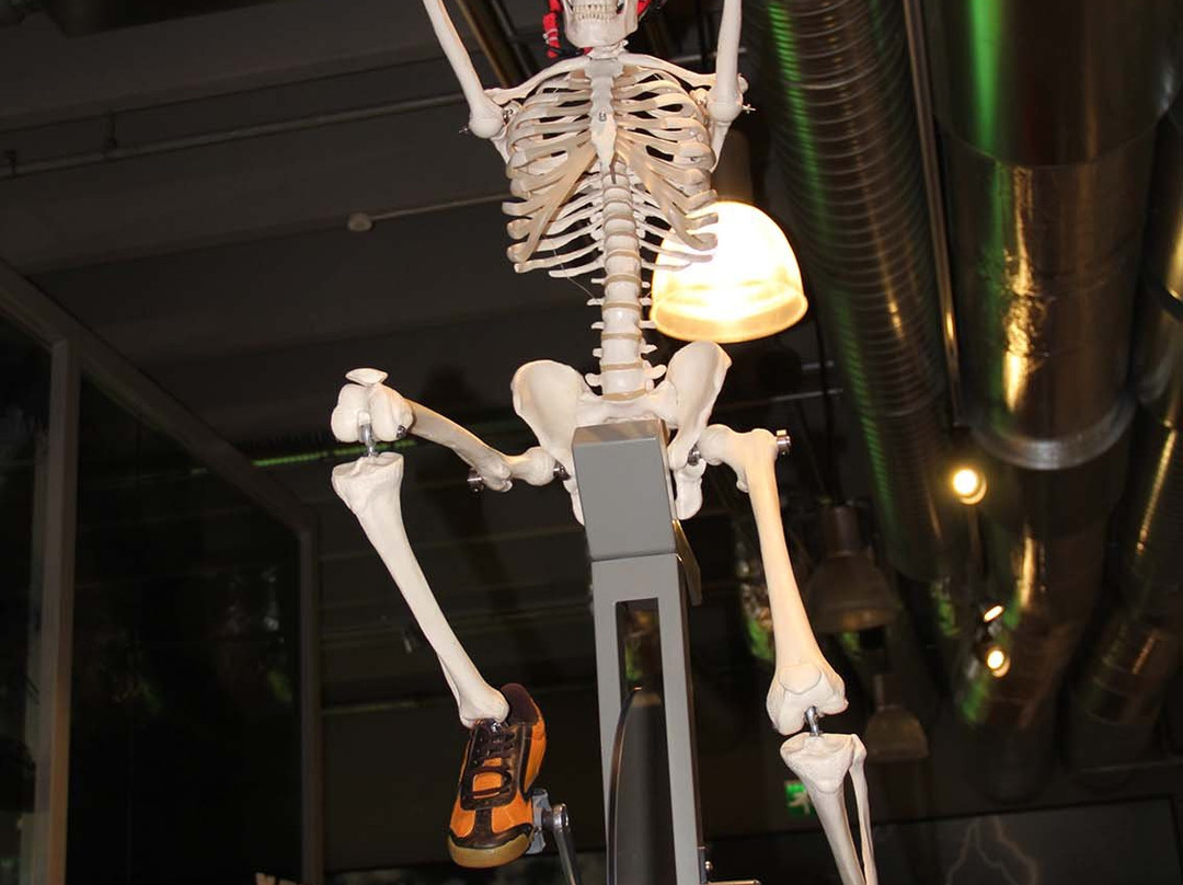 VilVite Bergen Science Center-卑尔根必去景点