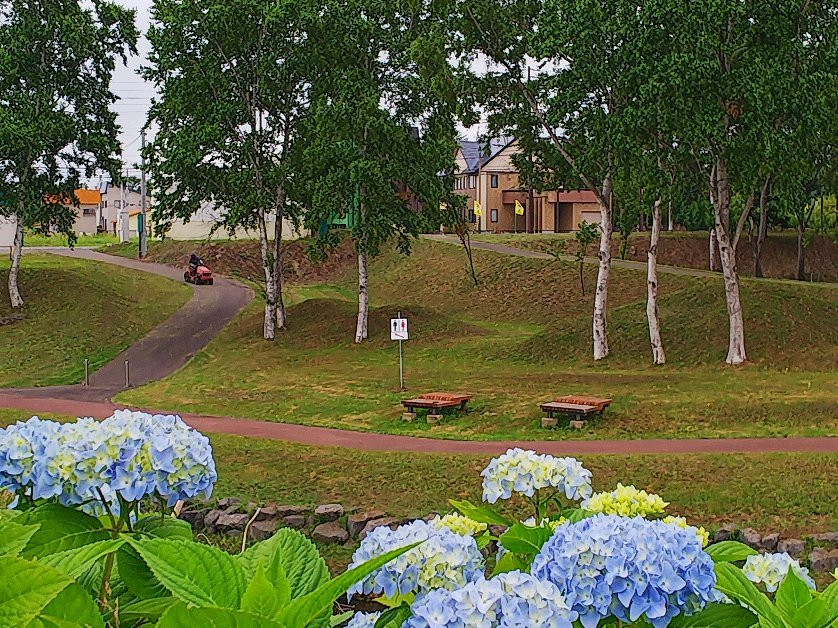 Hosokawa Takashi Memorial Statue景点图片