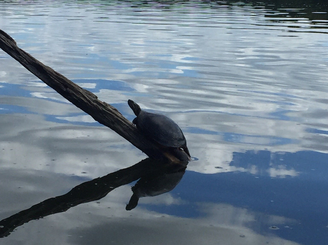 Potato Creek State Park-North Liberty必去景点